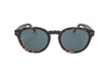 Tommy Hilfiger Unisex Sunglasses TH 1713 S 086 50 22 145 HAVANA