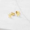 Star Stud Post Earrings