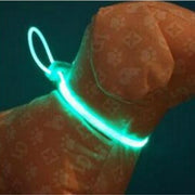 Dog Collars Leashes Light | Dog Collars Light Dark | Luminous